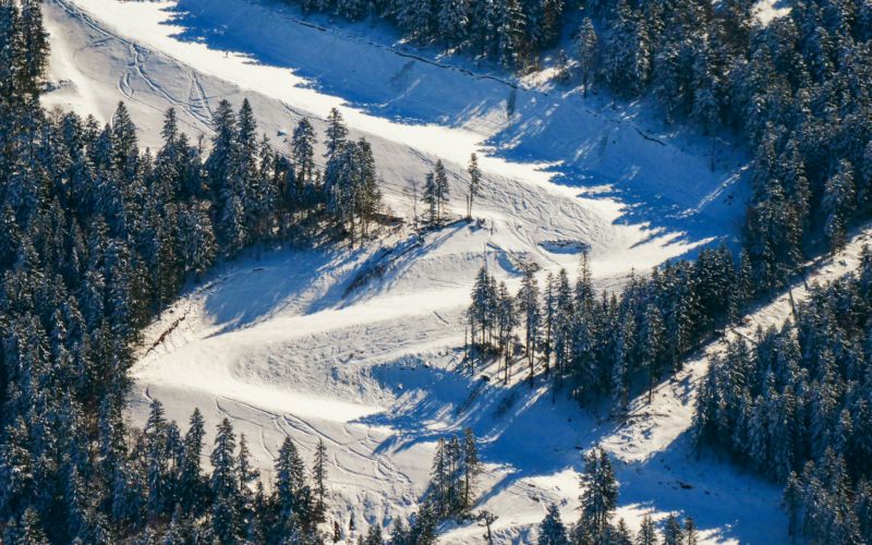 gestion durable des forêts de montagne